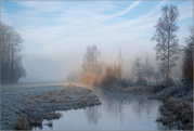 Brian Marcer - Morning Light